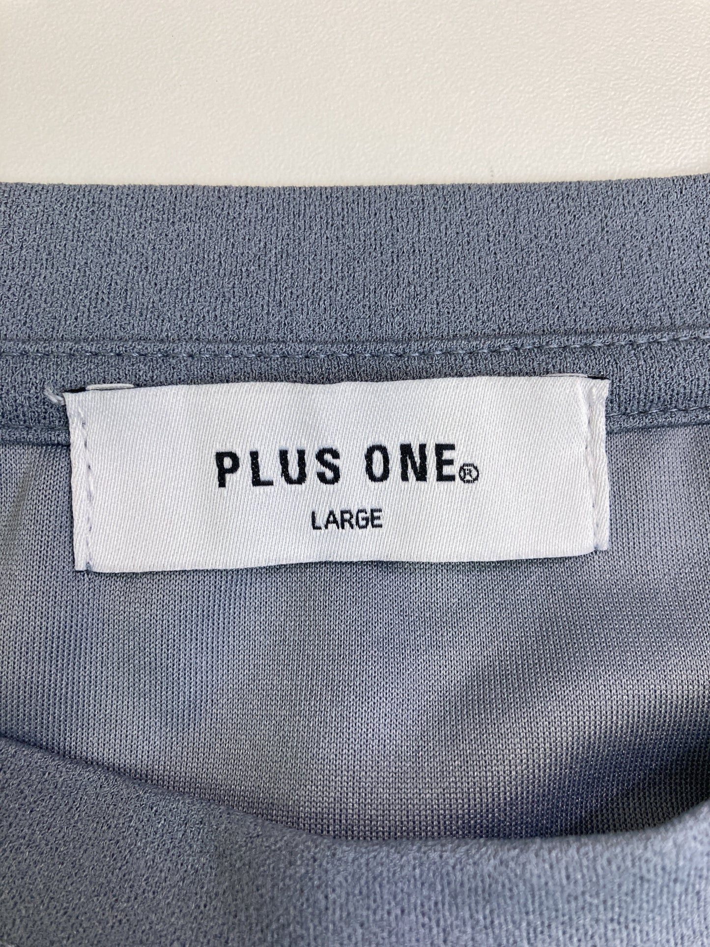 PLUS ONE/Tシャツ/カットソー/トップス/ブルー/LARGE