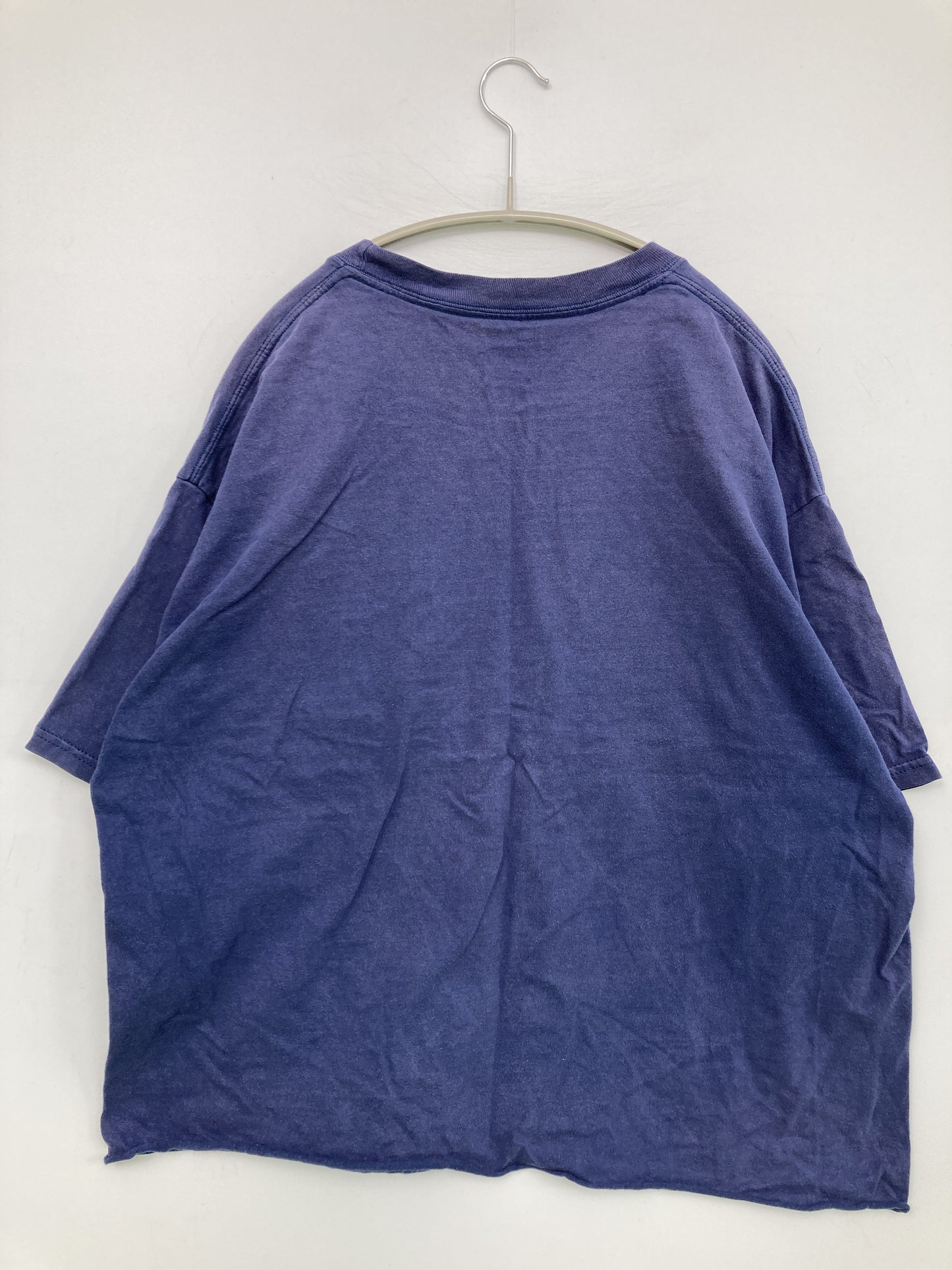 Hanes/ヘインズ/Tシャツ/カットソー/トップス/ブルー/XL