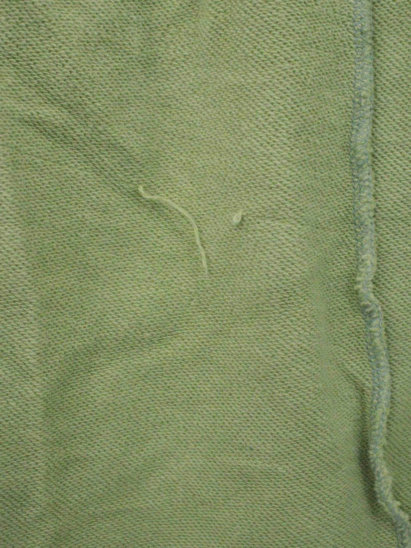 JEANASIS/ジーナシス/ロングスカート/スカート/ライトグリーン/F