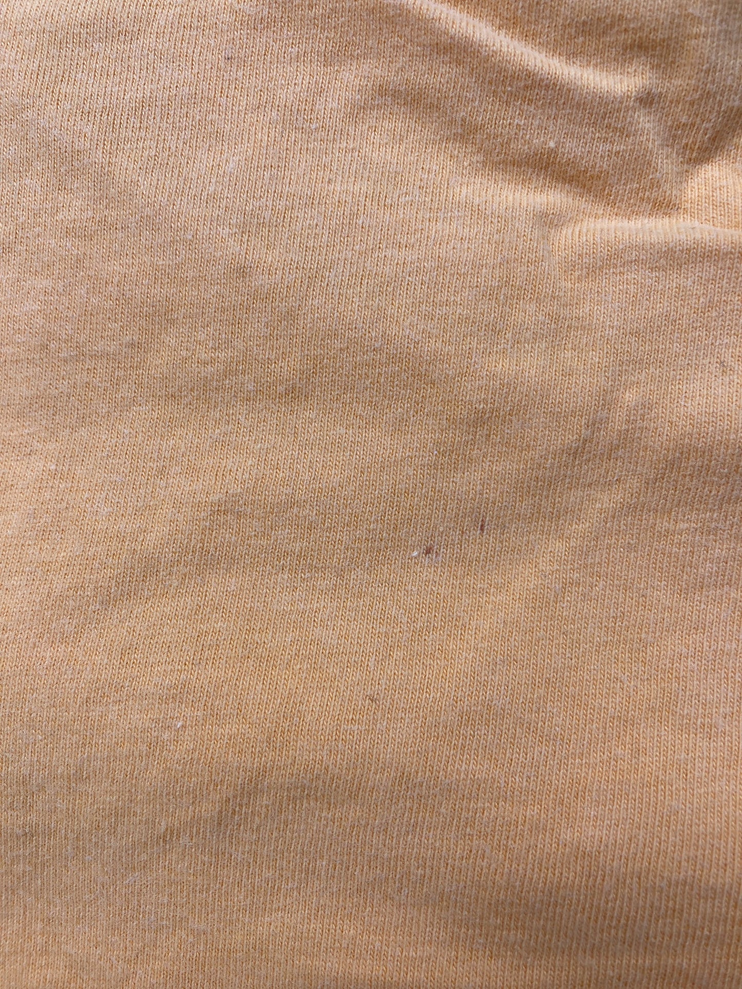 GILDAN/ギルダン/Tシャツ/カットソー/トップス/イエロー/L