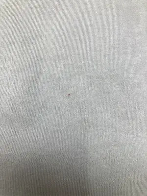 Lee/リー/Tシャツ/カットソー/トップス/ライトグリーン/M