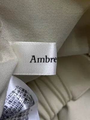 AmbreNeige/アンブルネージュ/ロングスカート/スカート/ベージュ/F