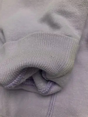 Champion/チャンピオン/スウェット/トップス/パープル/SMALL