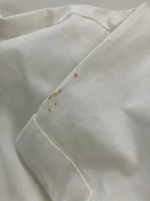 ZARA/ザラ/シャツワンピース/ワンピース/ドレス/ホワイト/USA S
