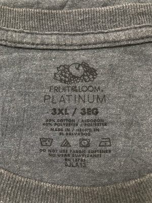 FRUIT OF THE LOOM/フルーツオブザルーム/Tシャツ/カットソー/トップス/グレー/3XL