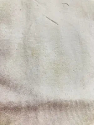 FREAK'S STORE/フリークスストア/Tシャツ/カットソー/トップス/ホワイト/F