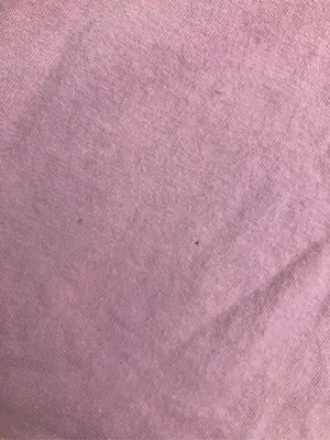 Champion/チャンピオン/Tシャツ/カットソー/トップス/ピンク/MEDIUM