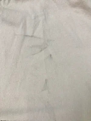MOUNTAIN MANIA/Tシャツ/カットソー/トップス/ベージュ/XL