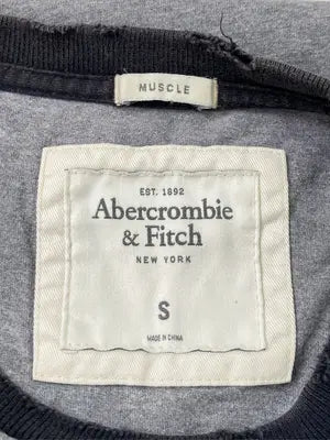 Abercrombie & Fitch/アバクロンビーアンドフィッチ/Tシャツ/カットソー/トップス/グレー/S