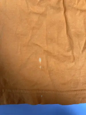Champion/チャンピオン/Tシャツ/カットソー/トップス/オレンジ/M