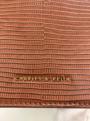 CHARLES & KEITH/チャールズアンドキース/ハンドバッグ/バッグ/ブラウン