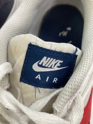 NIKE/ナイキ/スニーカー/シューズ/グレー/28cm