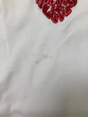 Tシャツ/カットソー/トップス/ホワイト/F