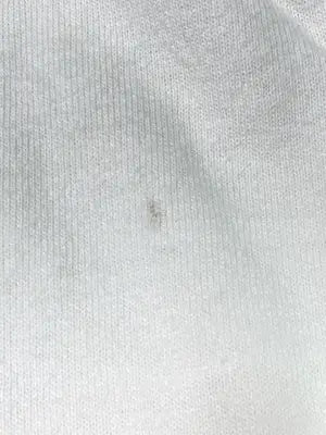 SANTA CRUZ/サンタクルーズ/Tシャツ/カットソー/トップス/アイボリー/M