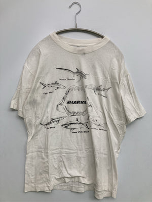 Tシャツ/カットソー/トップス/ホワイト