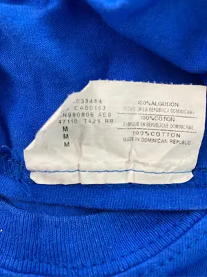 Champion/チャンピオン/Tシャツ/カットソー/トップス/ブルー/M
