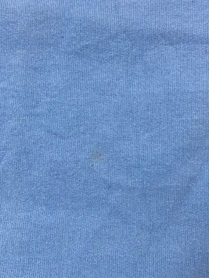 Champion/チャンピオン/スウェット/トップス/スカイブルー/ASIA XL