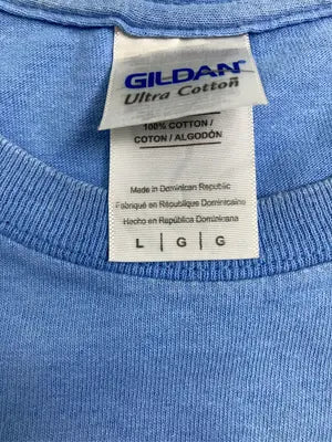 GILDAN/ギルダン/Tシャツ/カットソー/トップス/ブルー/L