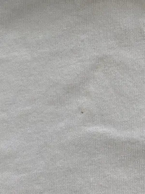 Champion/チャンピオン/Tシャツ/カットソー/トップス/ホワイト/XL