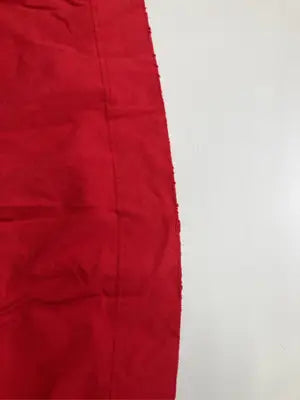 DSQUARED2/ディースクエアード/その他トップス/トップス/レッド/L