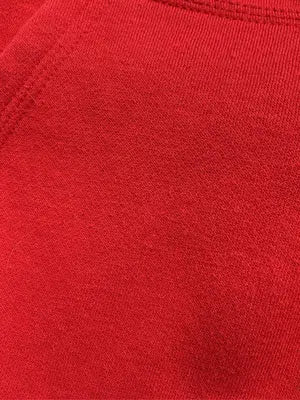 Champion/チャンピオン/パーカー/トップス/レッド/2XL