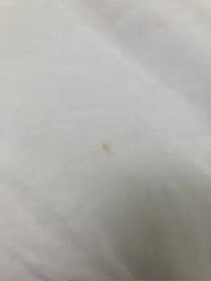 RAY CASSIN FAVORI/レイカズンファヴォリ/Tシャツ/カットソー/トップス/ホワイト/F