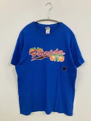GILDAN/ギルダン/Tシャツ/カットソー/トップス/ブルー/M