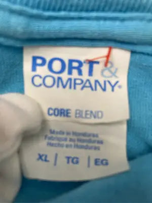 PORT&COMPANY/ポートアンドカンパニー/Tシャツ/カットソー/トップス/スカイブルー/XL