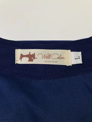 wellcolor/ワンピース/ワンピース/ドレス/ブルー/L