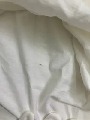 Tシャツ/カットソー/トップス/ホワイト/M