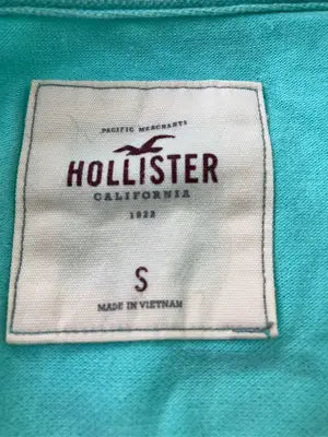 HOLLISTER/ホリスター/ポロシャツ/トップス/ライトグリーン/S
