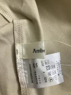 Ambre Ciel/Tシャツ/カットソー/トップス/ベージュ/F