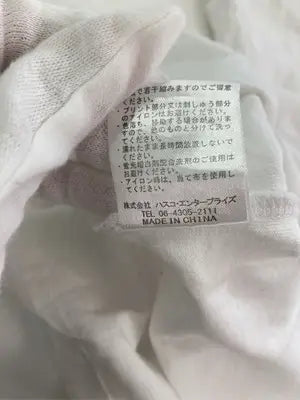 SANTA CRUZ/サンタクルーズ/Tシャツ/カットソー/トップス/ホワイト/L