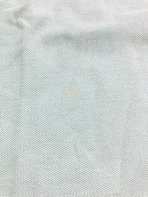 Polo by Ralph Lauren/ポロバイラルフローレン/ポロシャツ/トップス/ライトグリーン/M