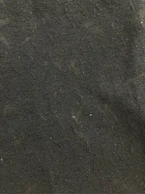 その他パンツ/パンツ/ブラック/M