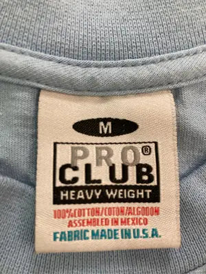 PRO CLUB/Tシャツ/カットソー/トップス/スカイブルー/M