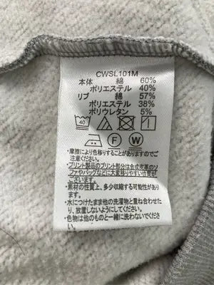 Champion/チャンピオン/パーカー/トップス/グレー/LL