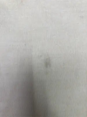 Tシャツ/カットソー/トップス/ベージュ