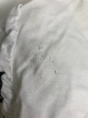 forksy./フォルクシー/Tシャツ/カットソー/トップス/ホワイト/F