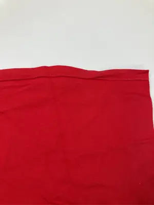 Cheswick/チェスウィック/Tシャツ/カットソー/トップス/レッド/L