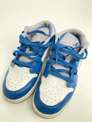 AIR JORDAN/エアジョーダン/スニーカー/シューズ/スカイブルー/25.0cm