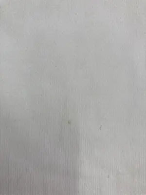 MIZUNO/ミズノ/Tシャツ/カットソー/トップス/アイボリー/O