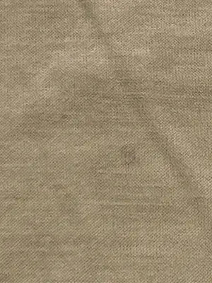 LAUTREAMONT/ロートレアモン/Tシャツ/カットソー/トップス/ベージュ/38