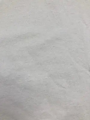Hanes/ヘインズ/Tシャツ/カットソー/トップス/ホワイト