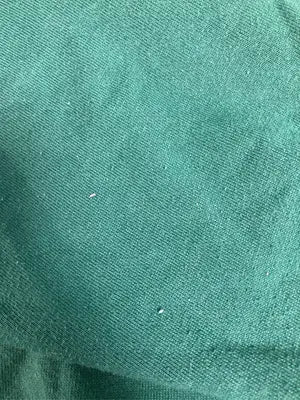 BEVERLY HILLS POLO CLUB/ビバリーヒルズポロクラブ/スウェット/トップス/グリーン/L