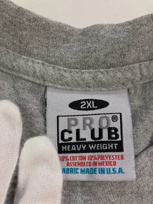 PRO CLUB/Tシャツ/カットソー/トップス/グレー/2XL