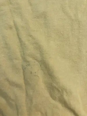 Champion/チャンピオン/Tシャツ/カットソー/トップス/イエロー/M