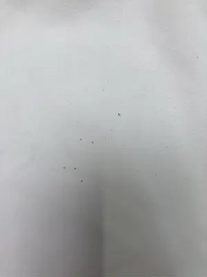 continuer de NICE CLAUP/コンティニューデナイスクラップ/シャツ/ブラウス/トップス/ホワイト/F