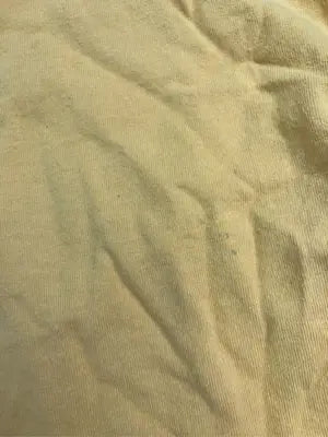 Champion/チャンピオン/Tシャツ/カットソー/トップス/イエロー/M