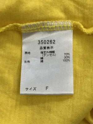 GREENDALE GARNET/Tシャツ/カットソー/トップス/イエロー/F